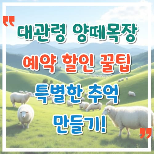 대관령-양떼목장-예약-할인-꿀팁-대방출-특별한-추억-만들기