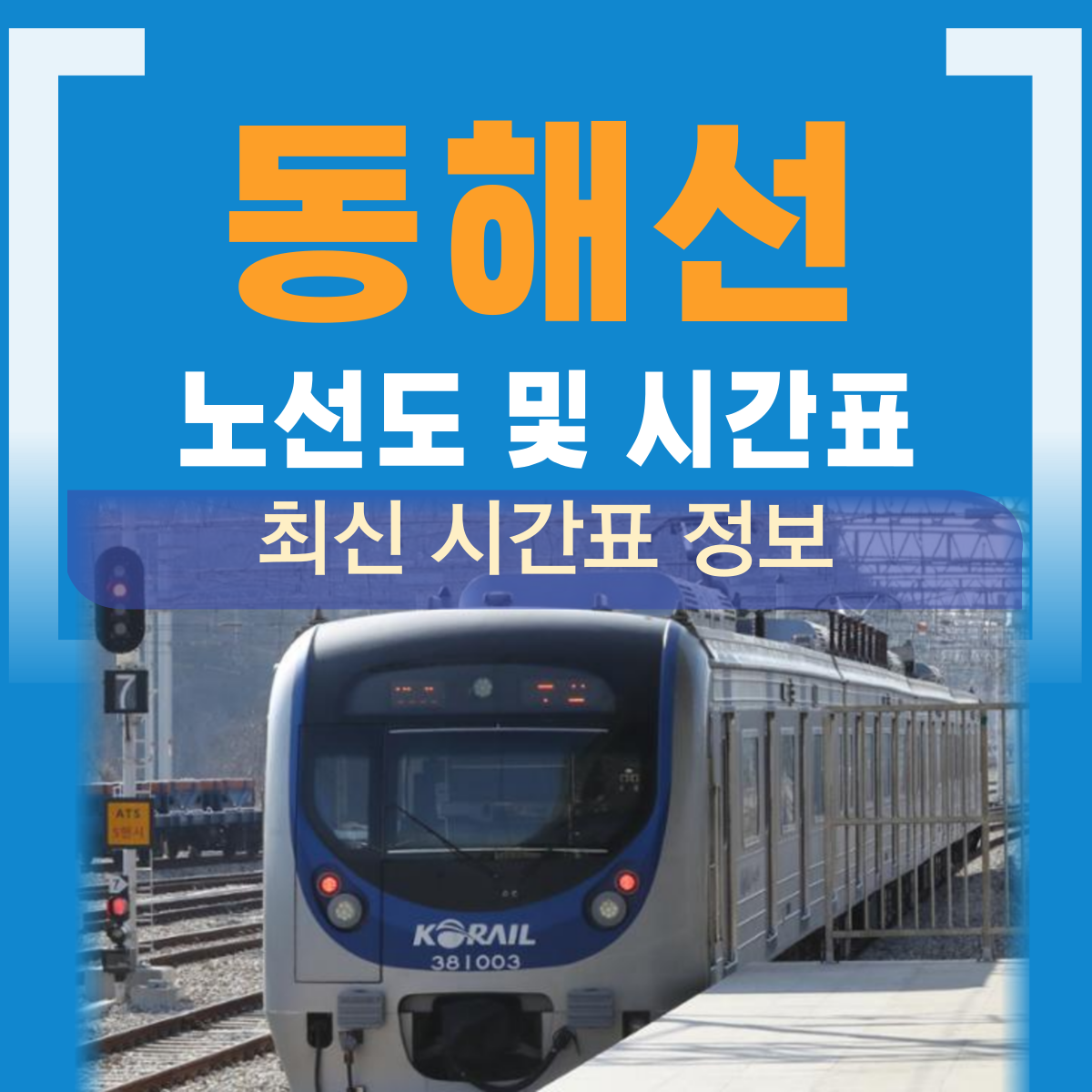 동해선 노선도 시간표