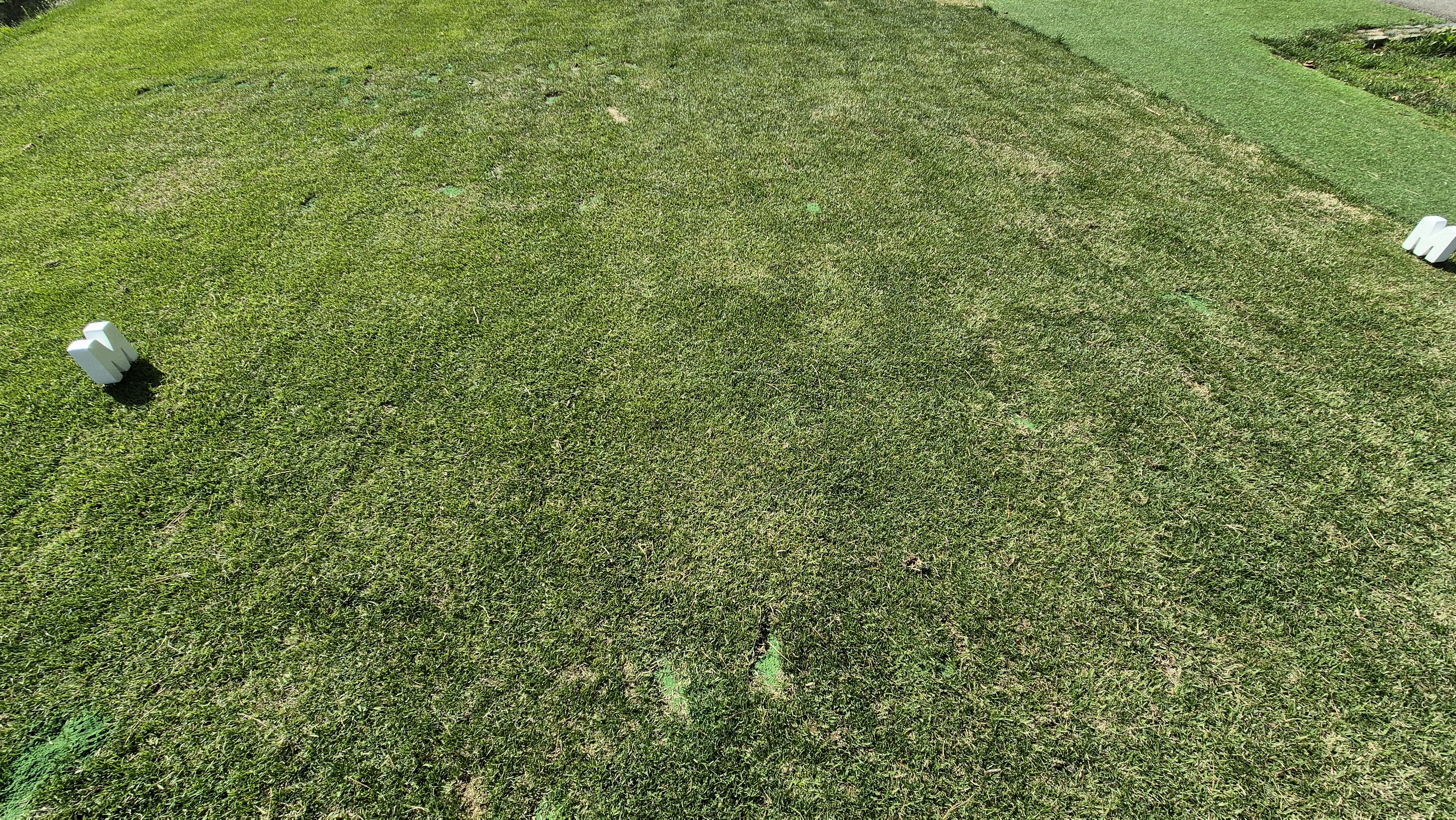 마에스트로cc 라운드 후기