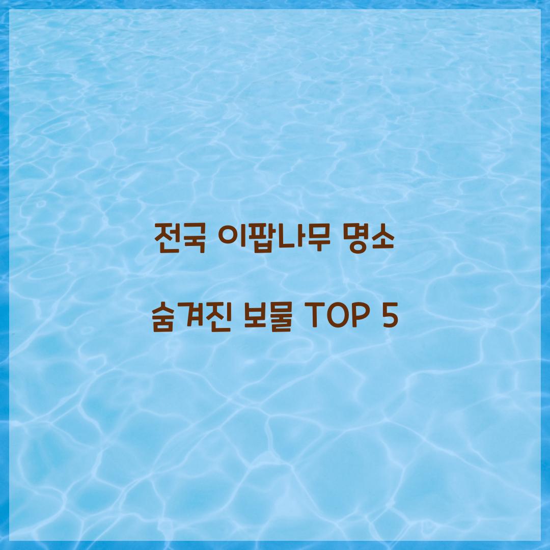 전국 이팝나무 명소