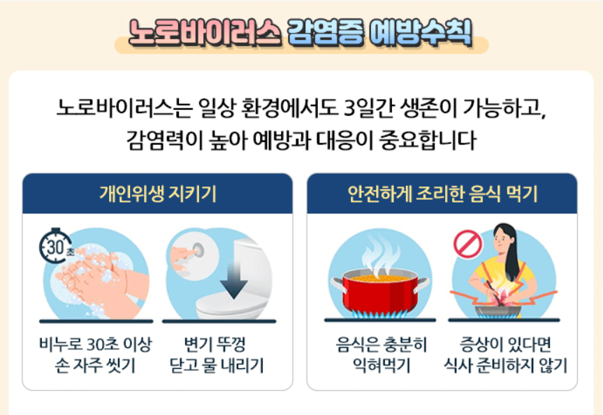 노로바이러스에 대한 오해와 진실 11가지