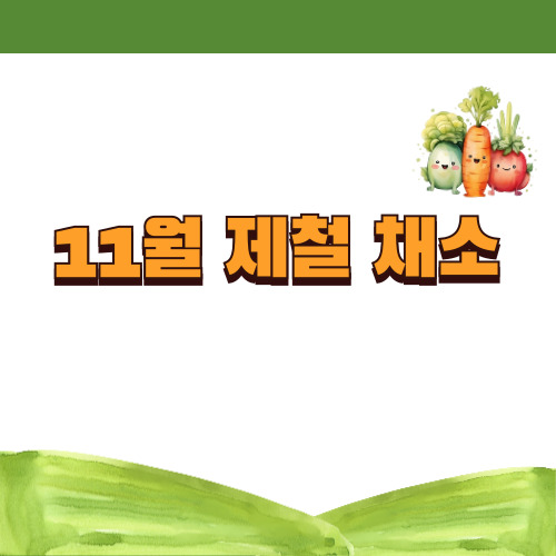 11월 제철채소 알아보기