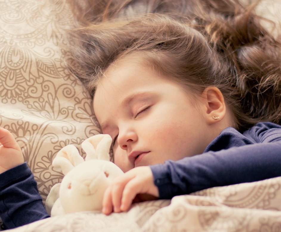 강아지 꿈해몽 해석과 의미