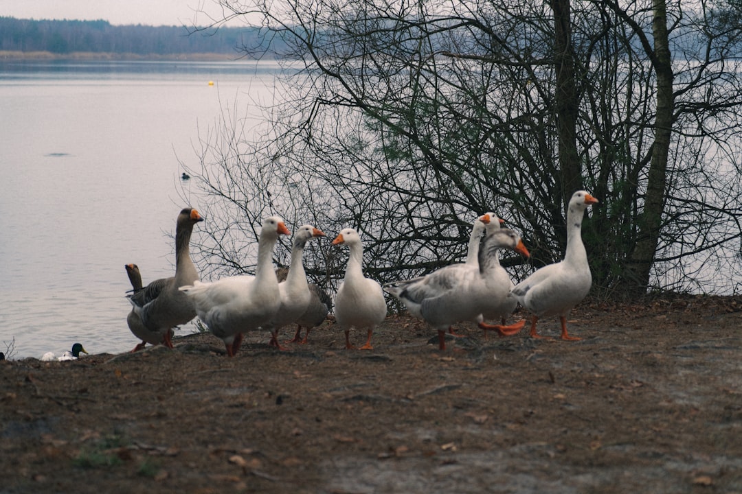 Group.