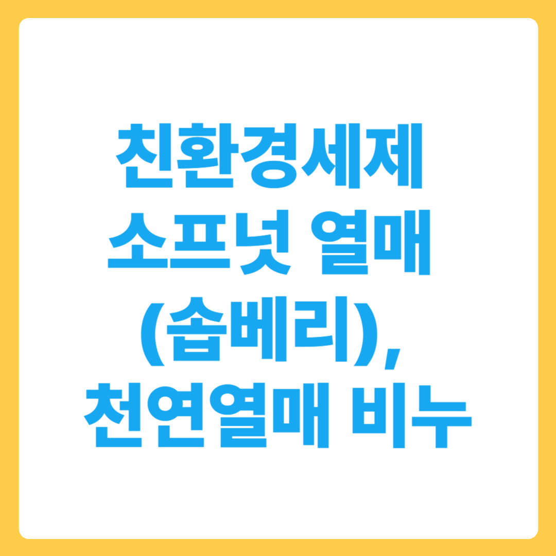 친환경세제 추천 소프넛열매 솝베리 천연열매 비누