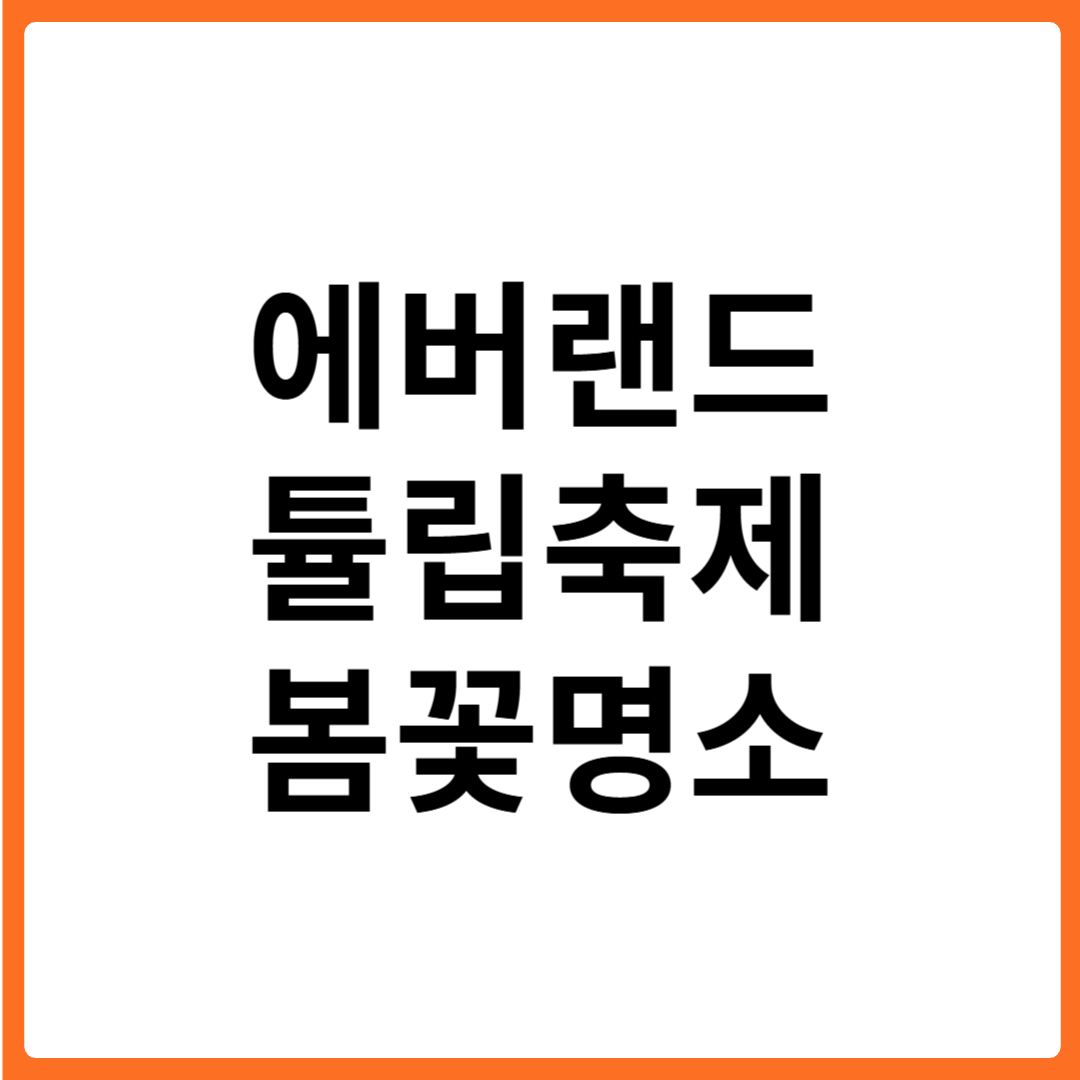 에버랜드 튤립 축제 2025년 봄꽃 명소