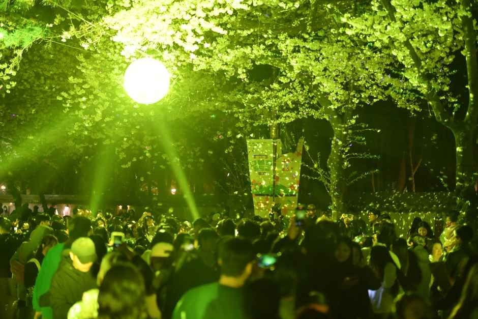 경주 대릉원돌담길 축제