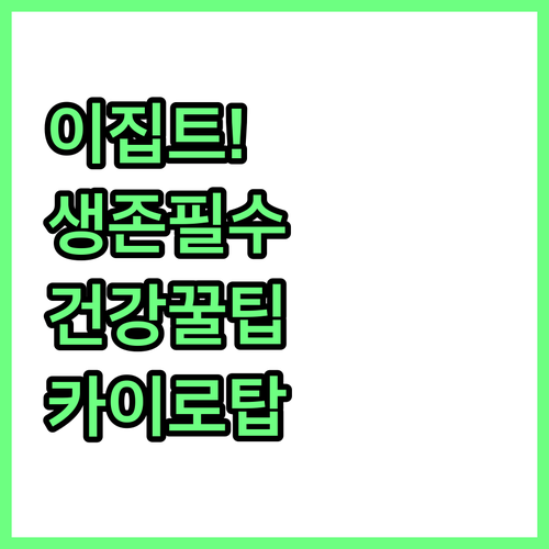 이집트 자유여행 건강 관리법과 비상시..
