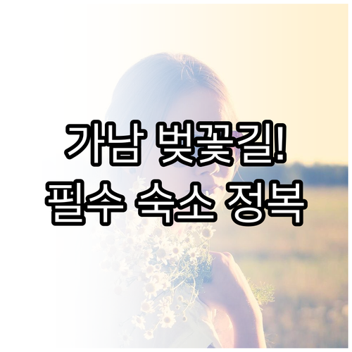 여주 가남읍 벚꽃 드라이브 코스와 근..