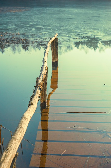 미생지신 '약속을 목숨처럼 지키는 사람' (홍수 사진)