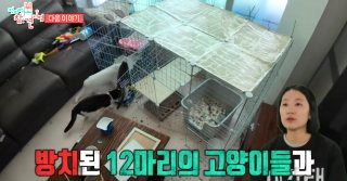 이강태 프로필 전참시 이강태 유튜버 포켓멍센터