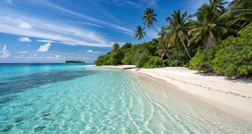 보라보라 신혼여행