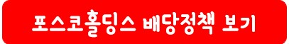 포스코홀딩스 배당 정책