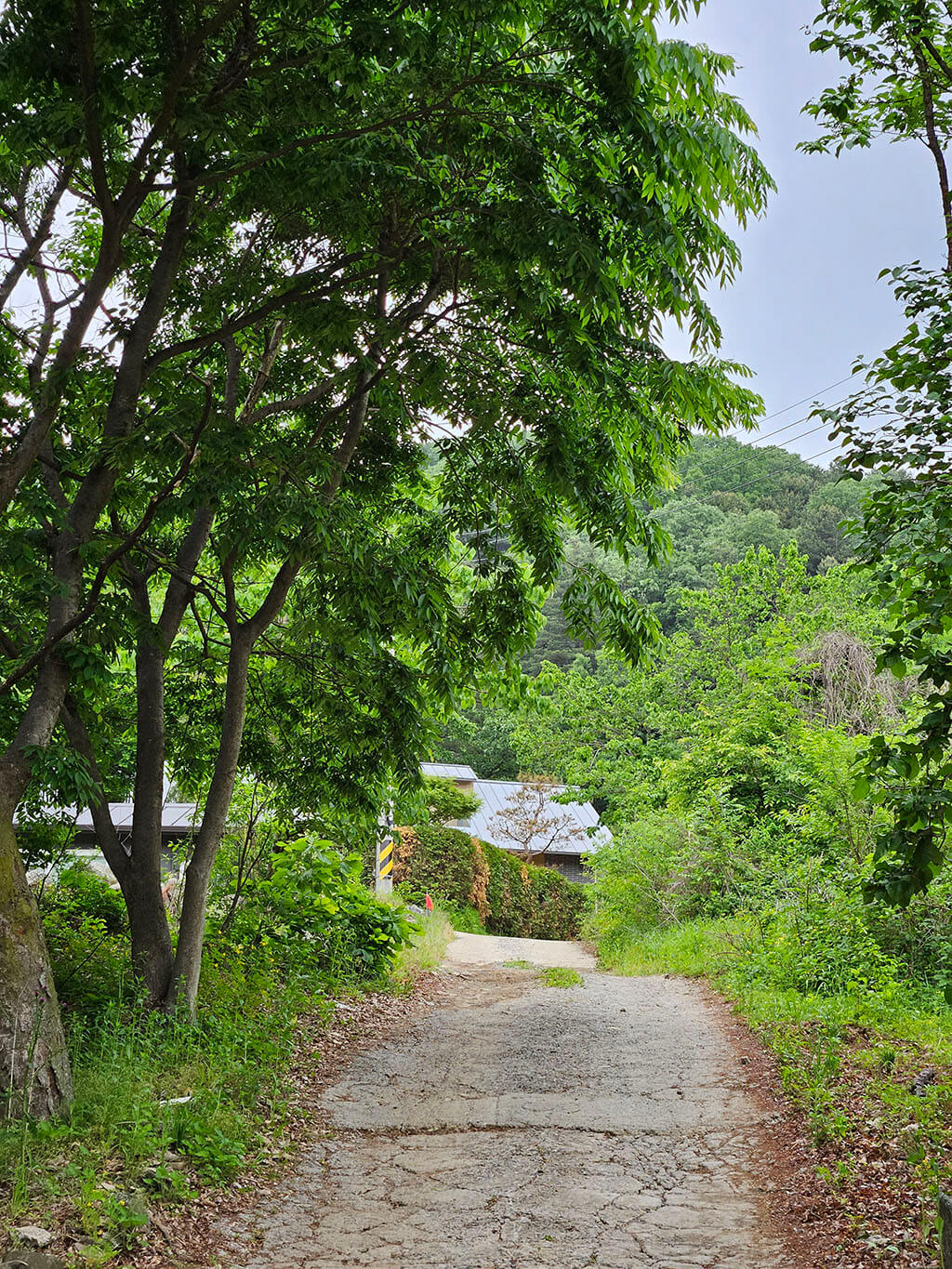 캠핑장 주변 산책로