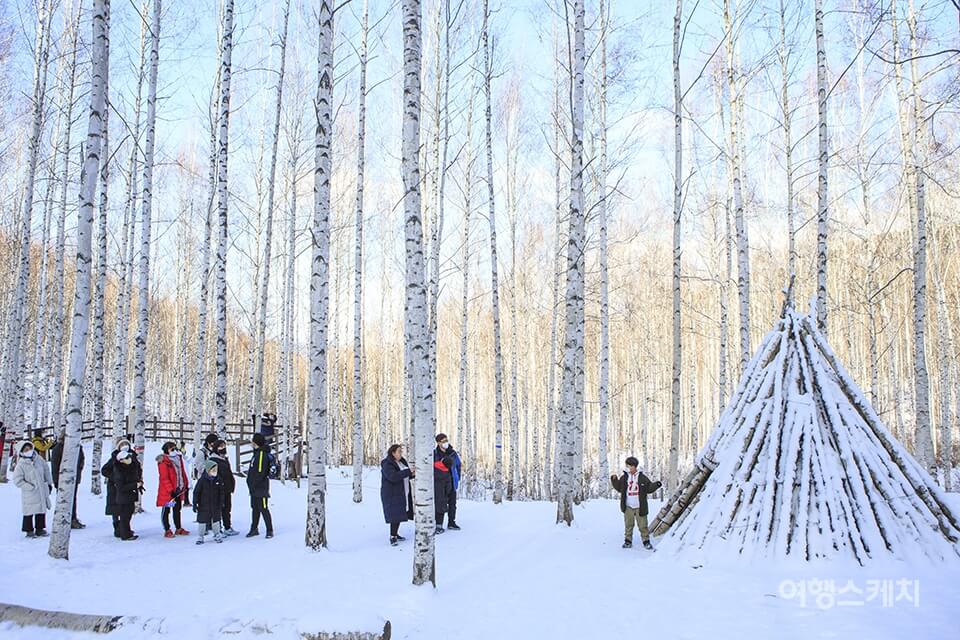 설연휴 국내 여행지 추천 - 인제 자작나무 숲