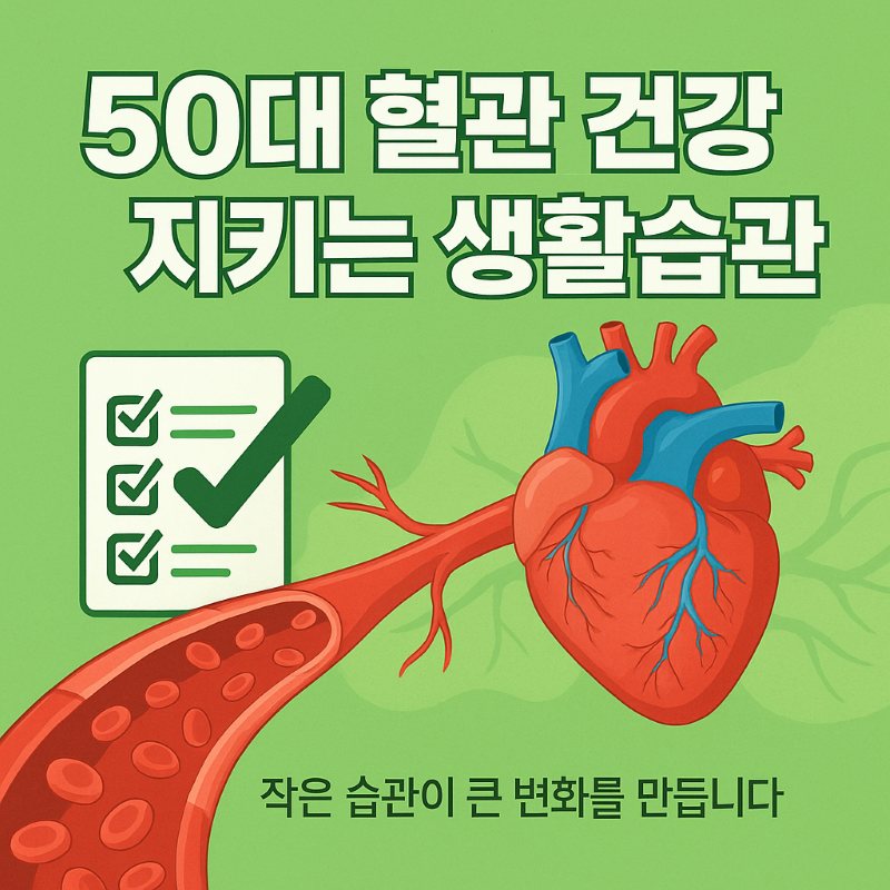폐경 이후 여성 콜레스테롤 급증, 50대 혈관 건강 지키는 생활습관