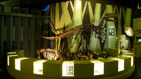 우석헌 자연사 박물관