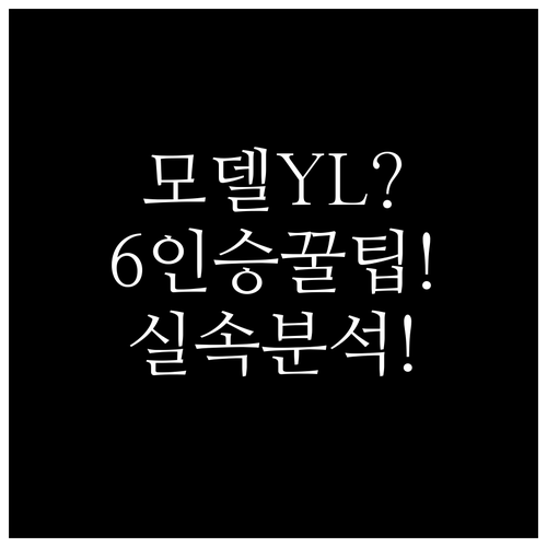 모델 YL 6인승 전기차 구매 비용 ..