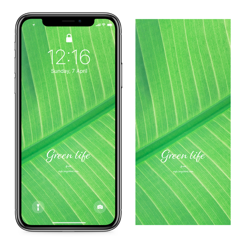 03 연두색 이파리 C - Green life 아이폰연두색배경화면