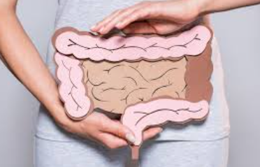 유산균 추천,프로바이오틱스