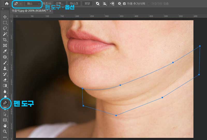 펜 도구 / 펜 툴