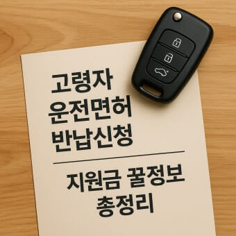 운전면허 반납 지원금