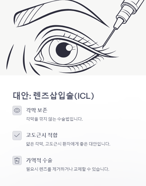 대안 렌즈 삽입술