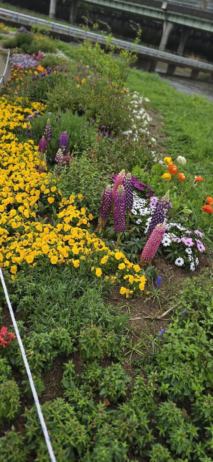 튜울맆 직접 찍은 사진