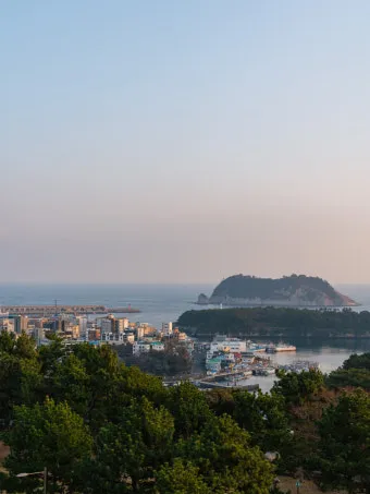 제주 서귀포 카페 추천 디저트 맛집과 뷰 맛집 정리_15