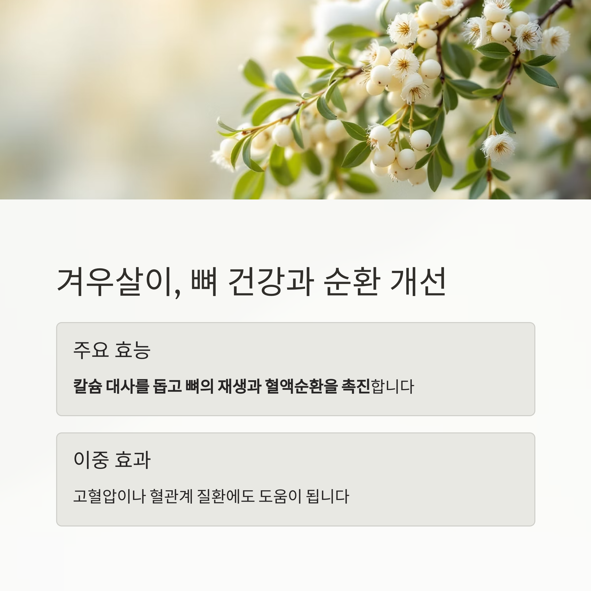관절염 통증 완화에 효과적인 약초 7가지 비밀