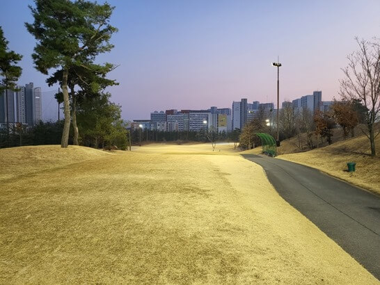 7번홀-카트도로