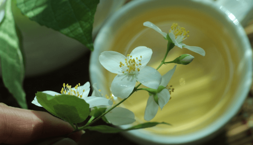 자스민과 자스민 차 사진 - 6