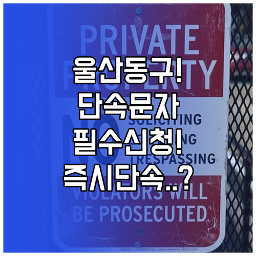 울산 동구 주정차 단속 알림 서비스 ..