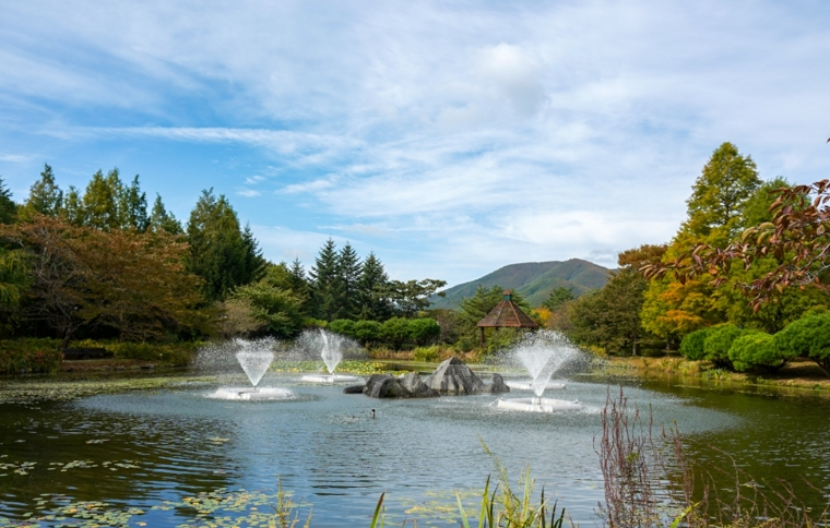 경상북도수목원