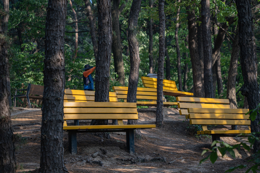 숙지산 오후 햇살