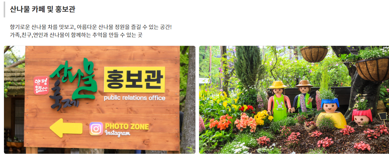 제14회 양평 용문산 산나물 축제 프로그램