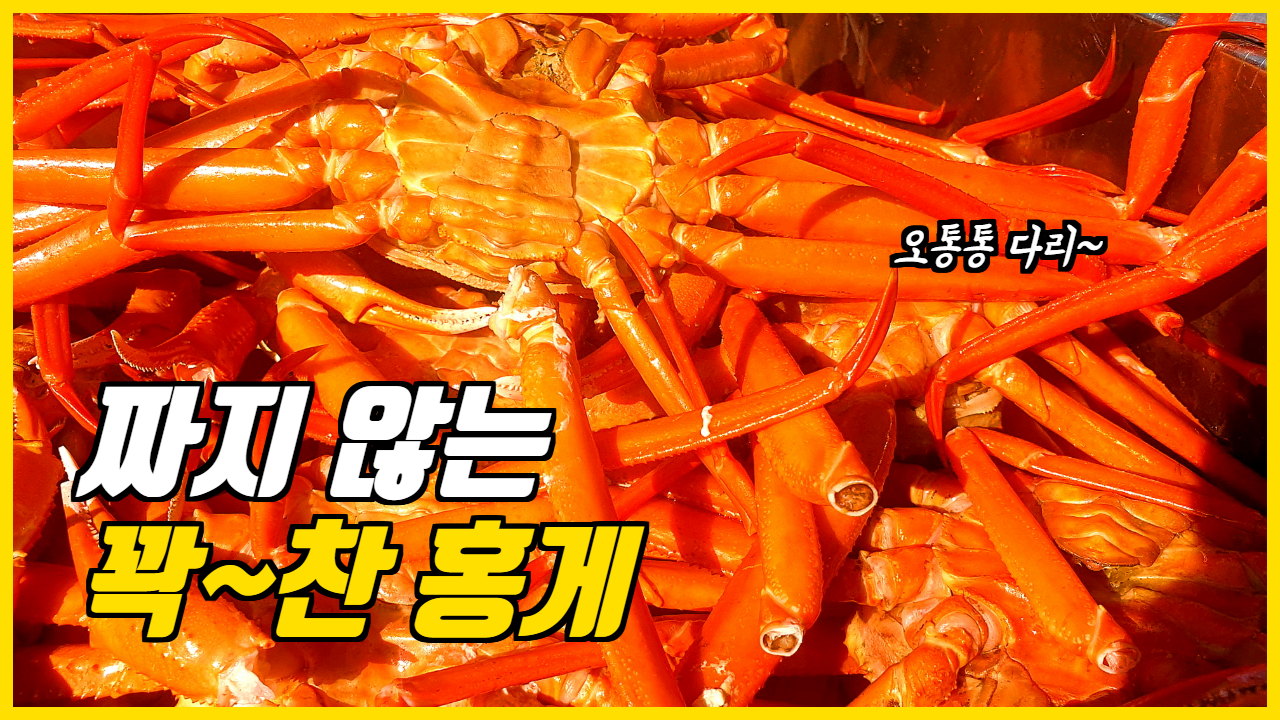 오동통한 홍게입니다