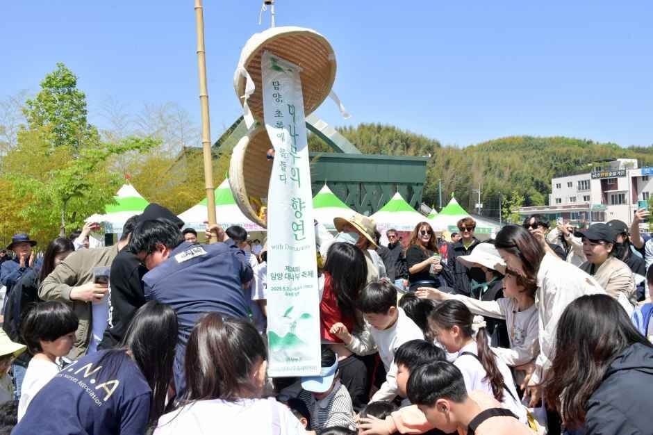 담양 대나무축제