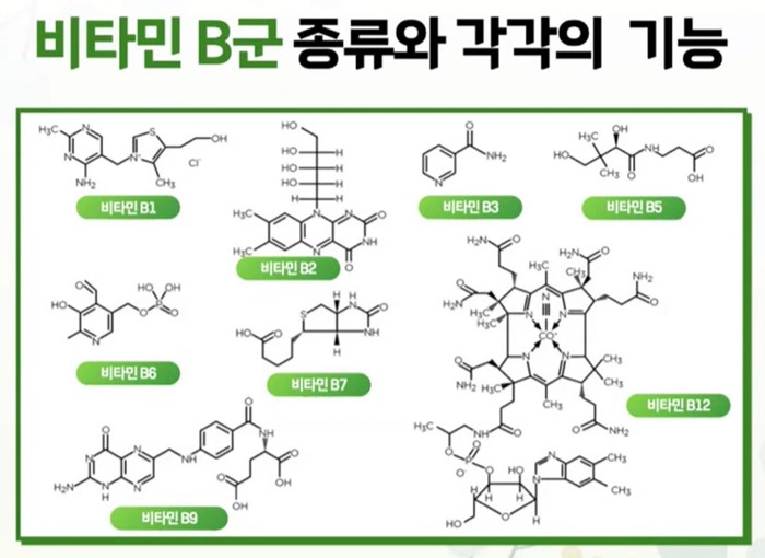 비타민B군