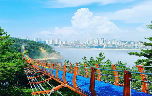 울산 출렁다리 사진
