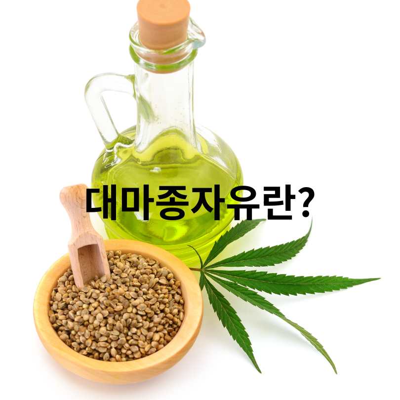 대마종자유 먹는 법과 효능&amp;#44; 부작용