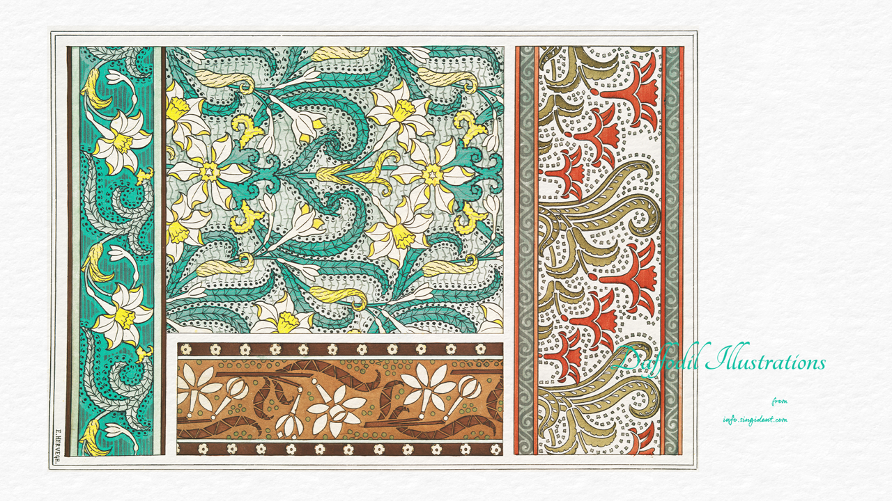 15 수선화 장식 일러스트, Pl 30 C - Daffodil Illustrations 봄배경화면