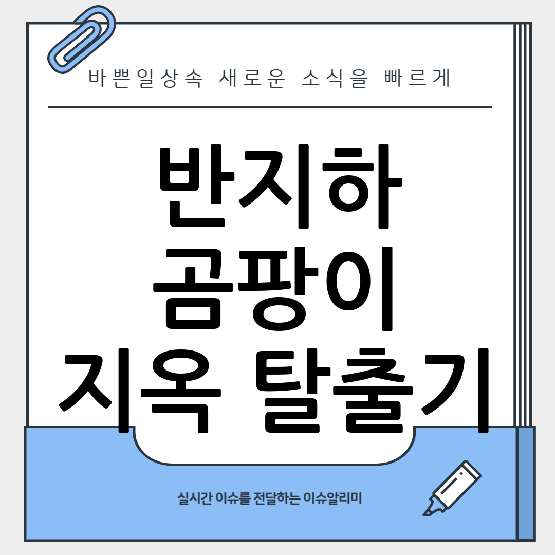 반지하