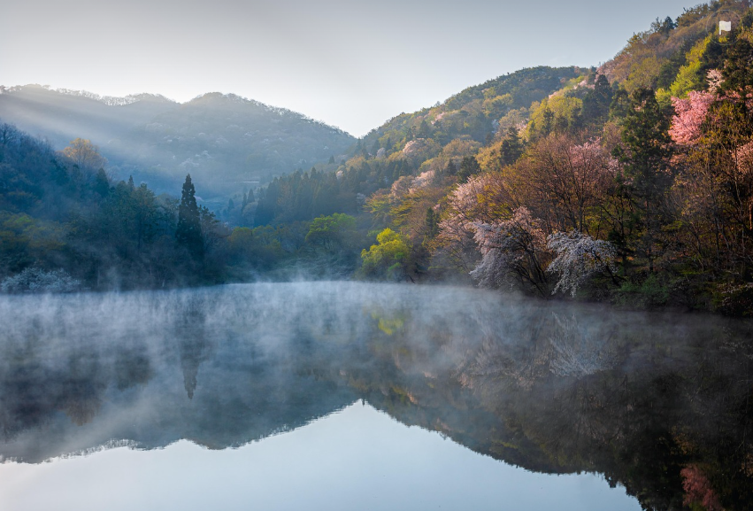 화순 세량지 여행, 사진 명소 완벽 가이드 관련 사진