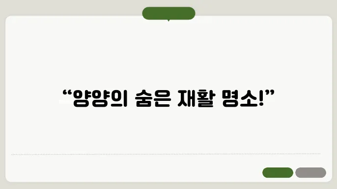 양양군에서 추천하는 재활의학과 병원