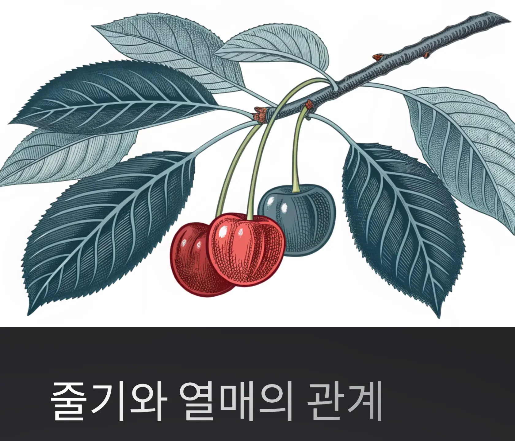 줄기와 열매 관계를 통해 배우는 삶