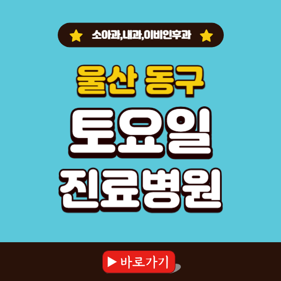 울산 동구 토요일 진료 병원 찾기 ❘ 주말 문여는 소아과, 내과, 이비인후과 리스트