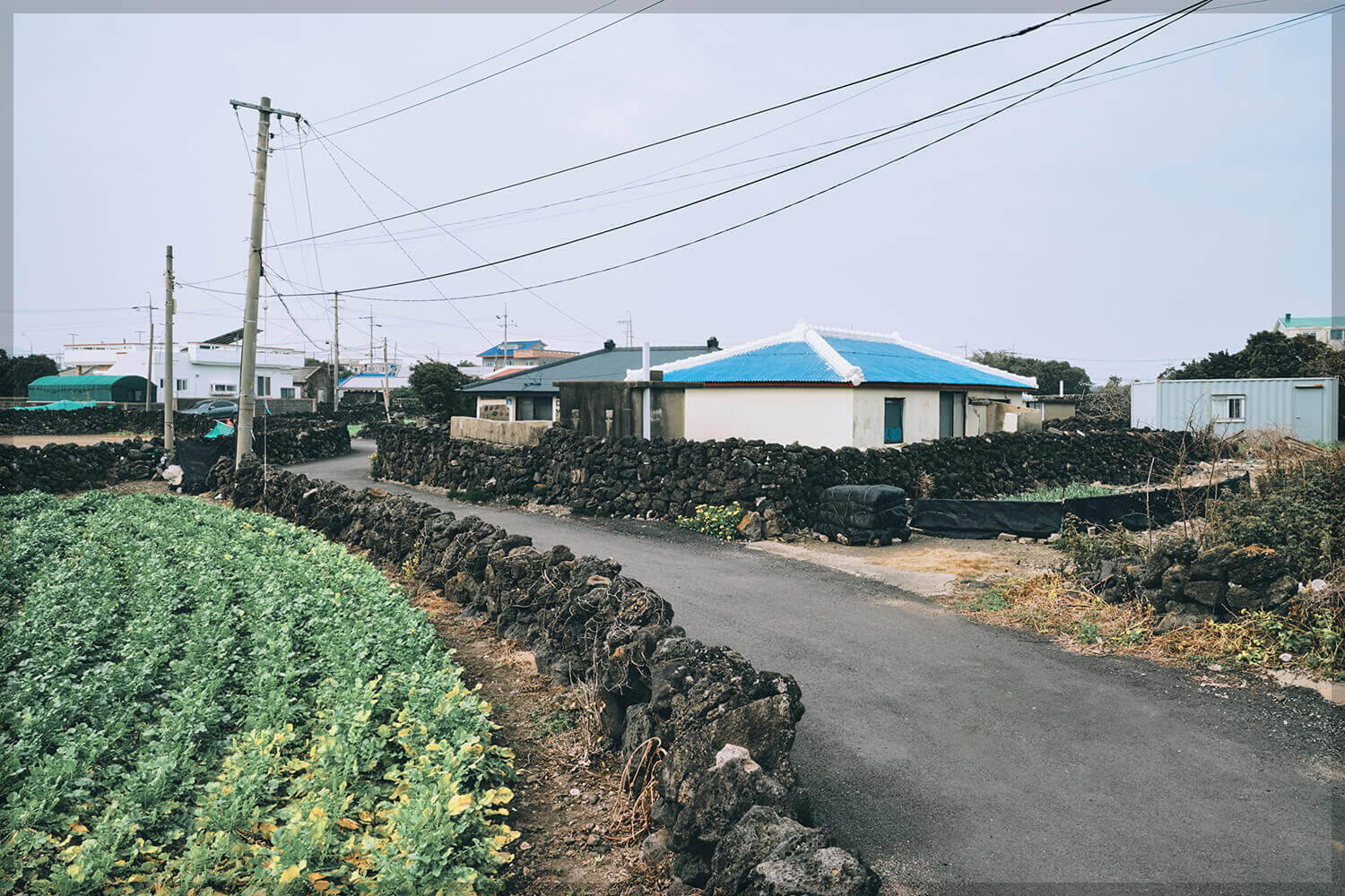 제주 올레길 20코스 지도 맛집 숙소: 북동부 바다의 매력 속으로