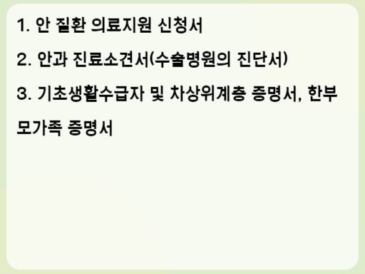 2023 노인 개안수술비 지원