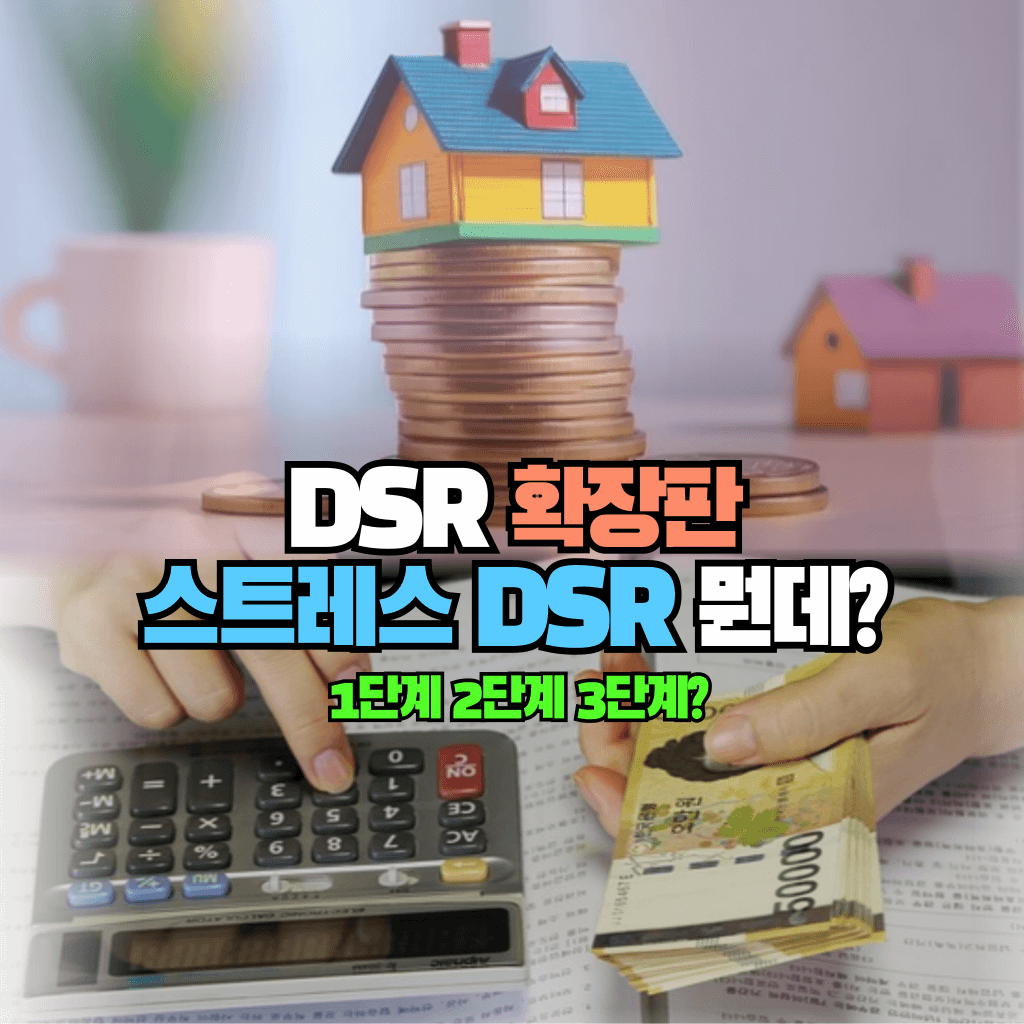 DSR 확장판 스트레스 DSR 뭔데?: 1단계 2단계 3단계?